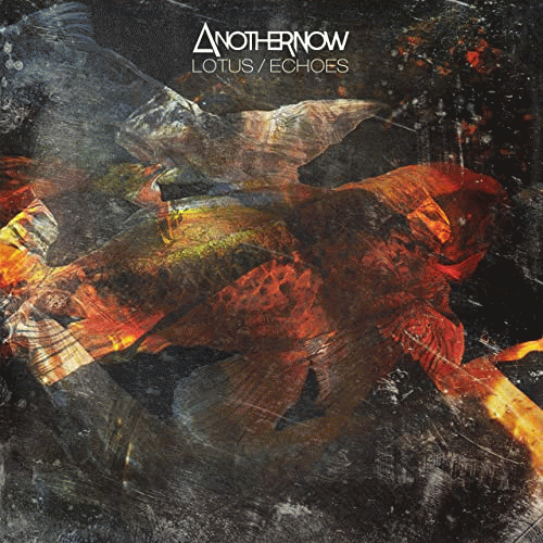 Another Now : Lotus - Echoes